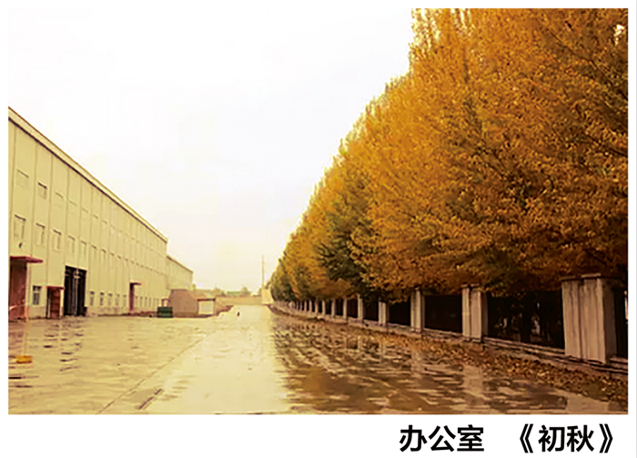 QQͼ20170422173129.png